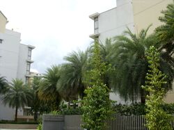The Shelford (D11), Condominium #583315721